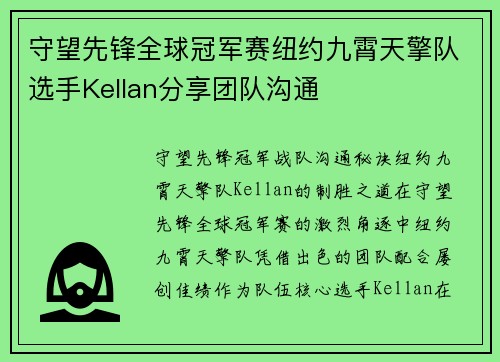守望先锋全球冠军赛纽约九霄天擎队选手Kellan分享团队沟通