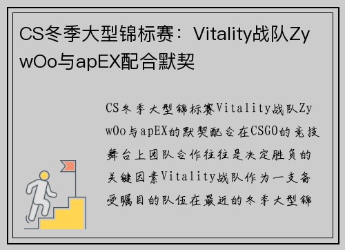 CS冬季大型锦标赛：Vitality战队ZywOo与apEX配合默契