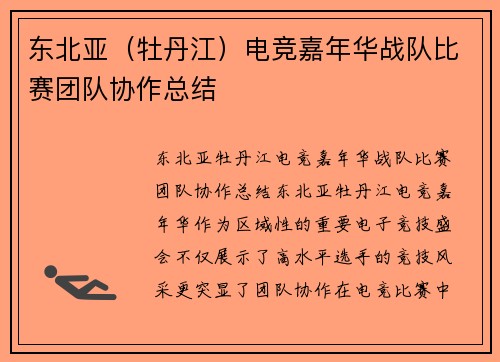 东北亚（牡丹江）电竞嘉年华战队比赛团队协作总结